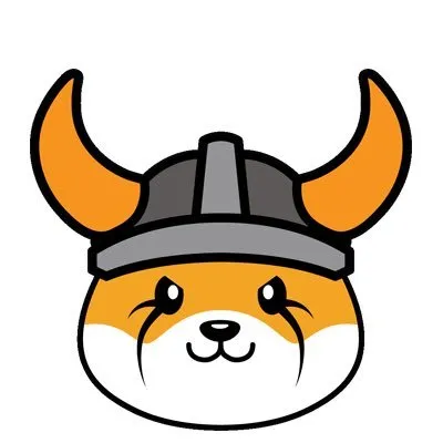 FLOKI FLOKI